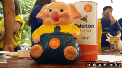 pig